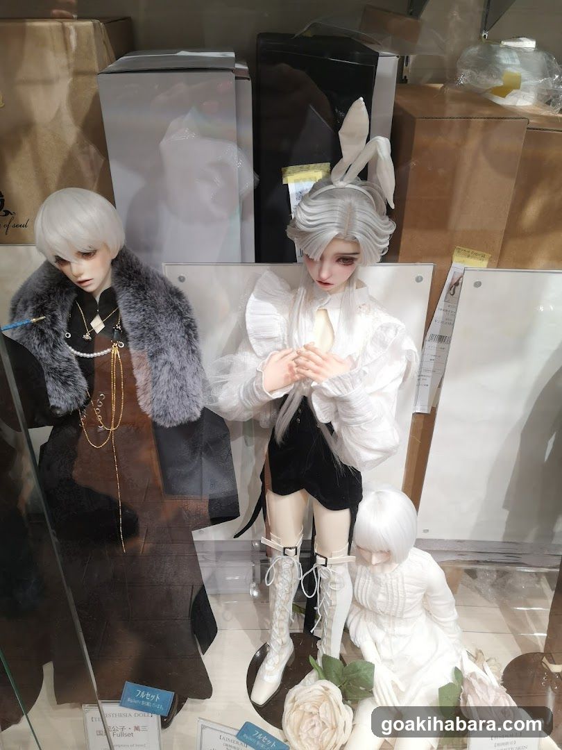 Bishoujo Doll Display