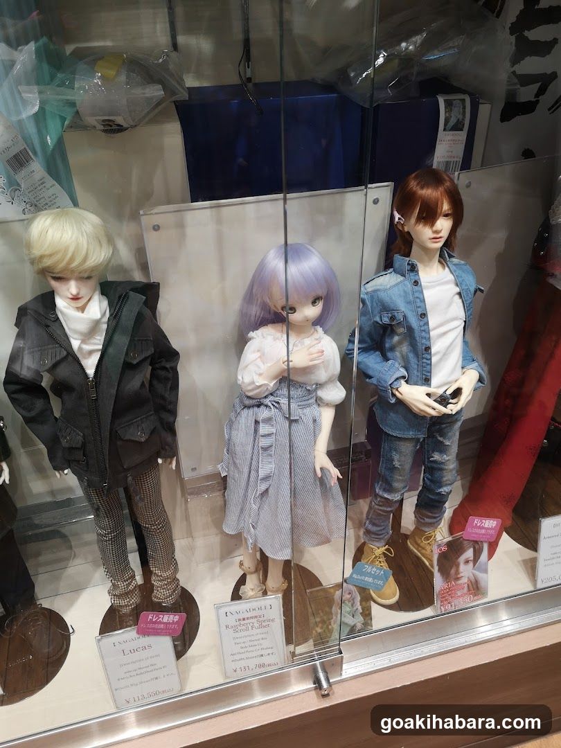 Doll Display Case