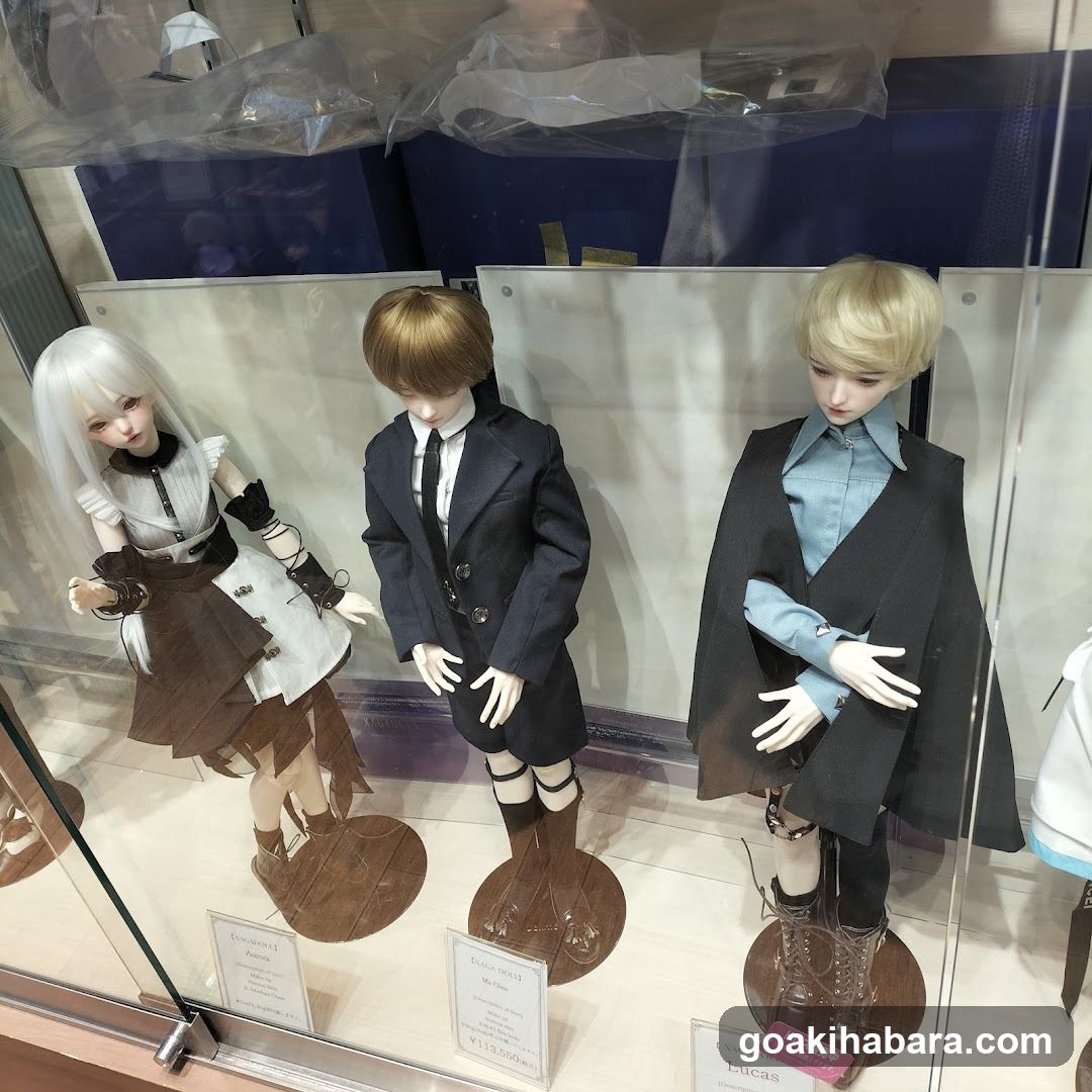 Doll Display Case