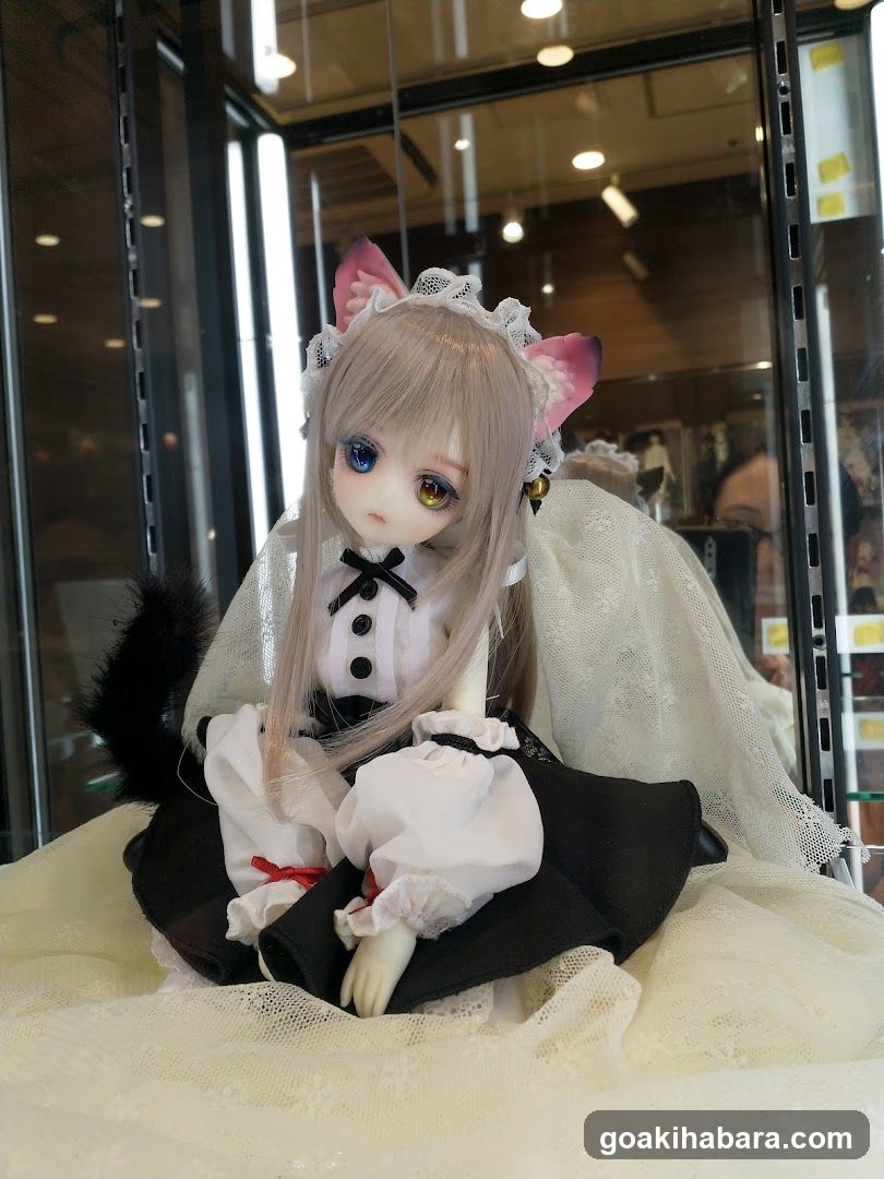 Blythe Doll Display