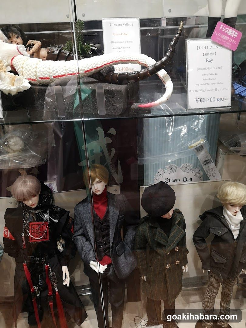 Doll Display Case