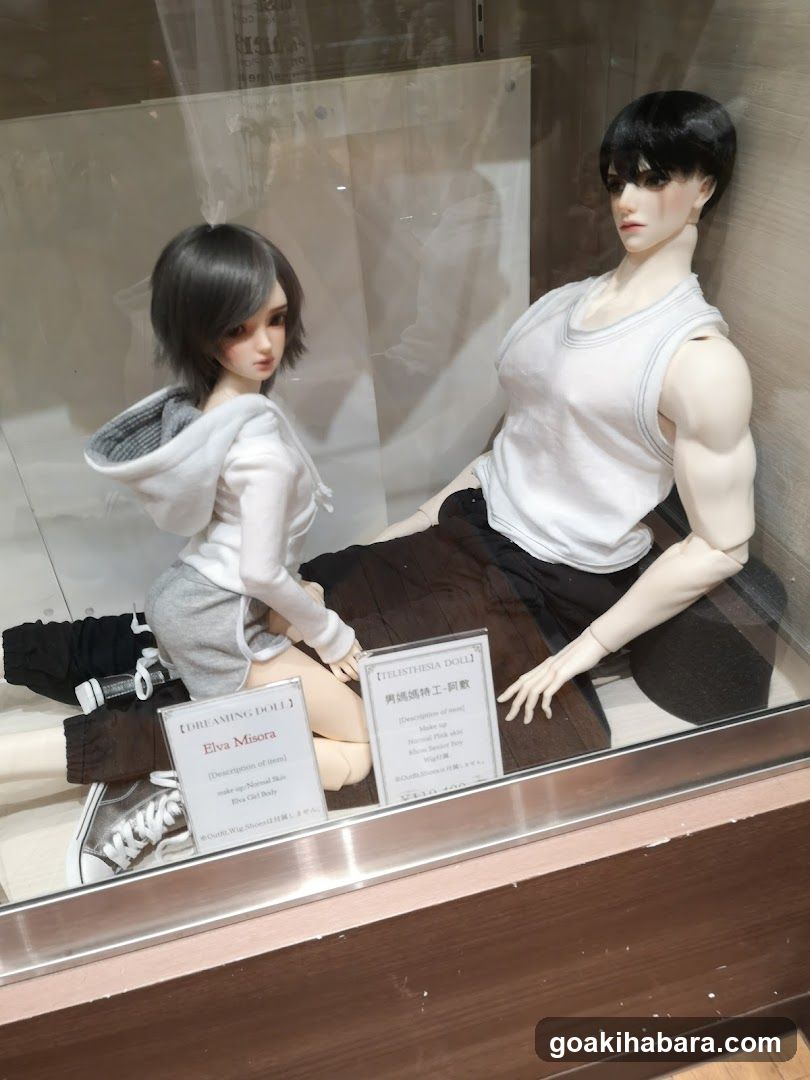 Doll Display Case
