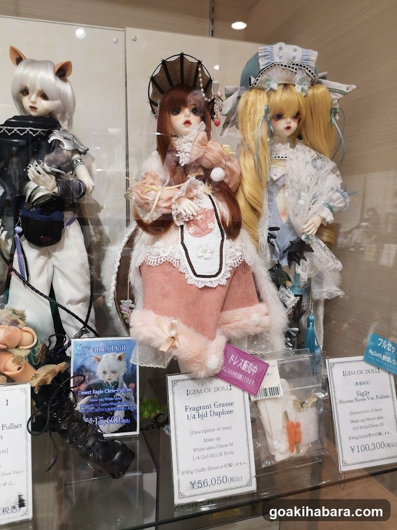 BJD Doll Display Case