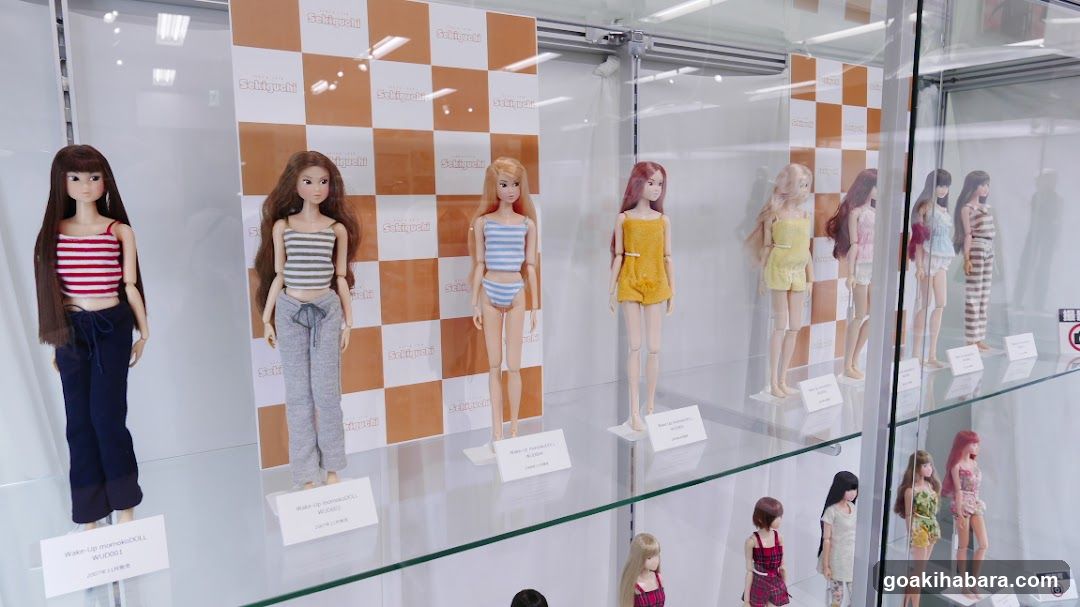 Doll Display Case