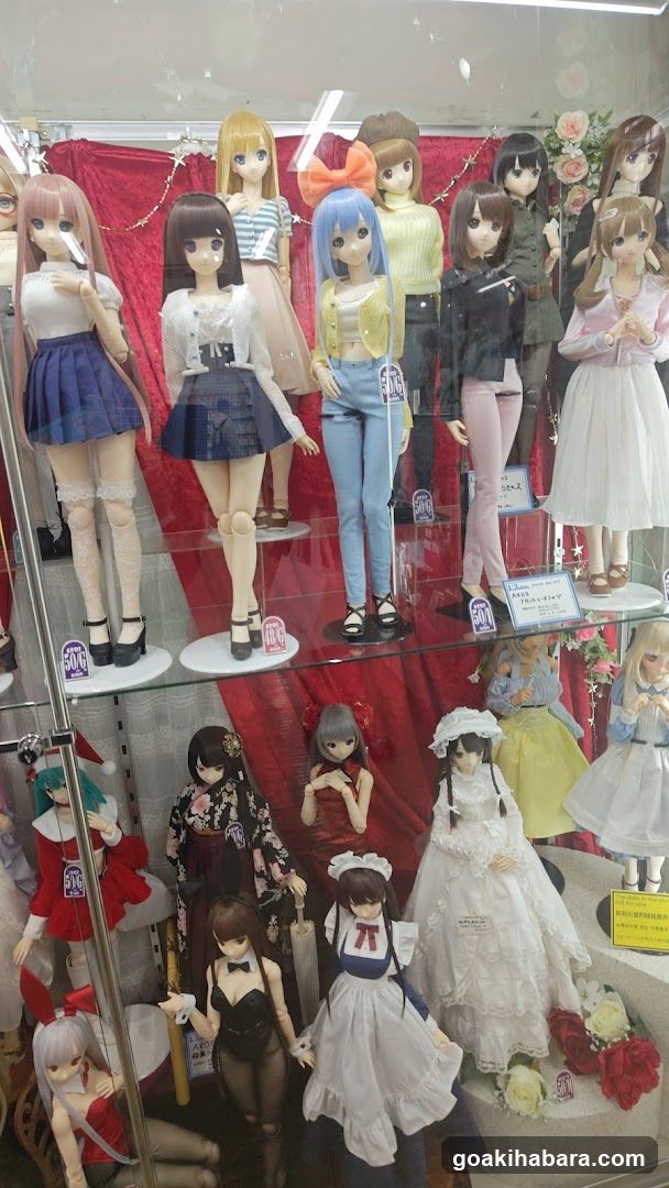 Doll Display Case
