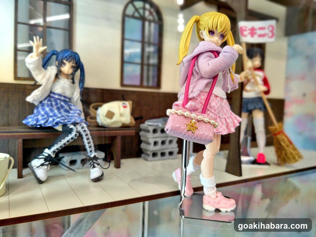 Anime Figure Display