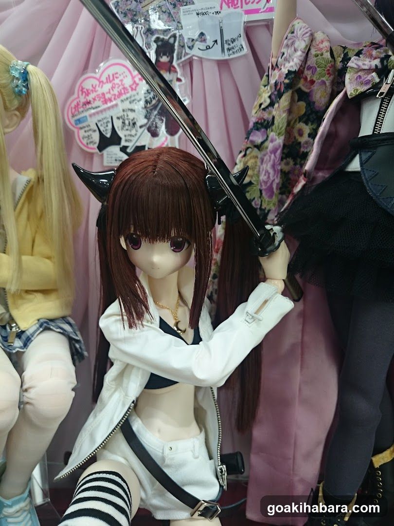 Doll Display with Accessories and Merchandise