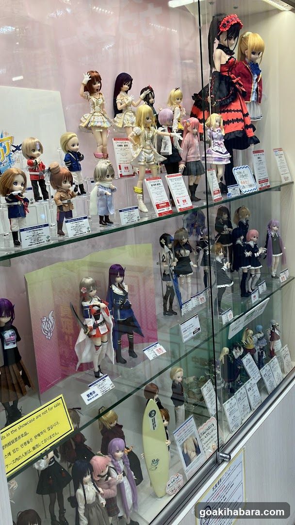 Anime Figure Display Case
