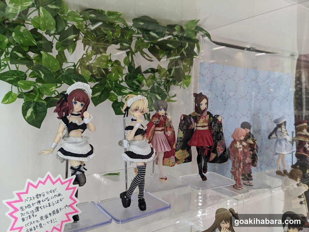 Anime Figure Display