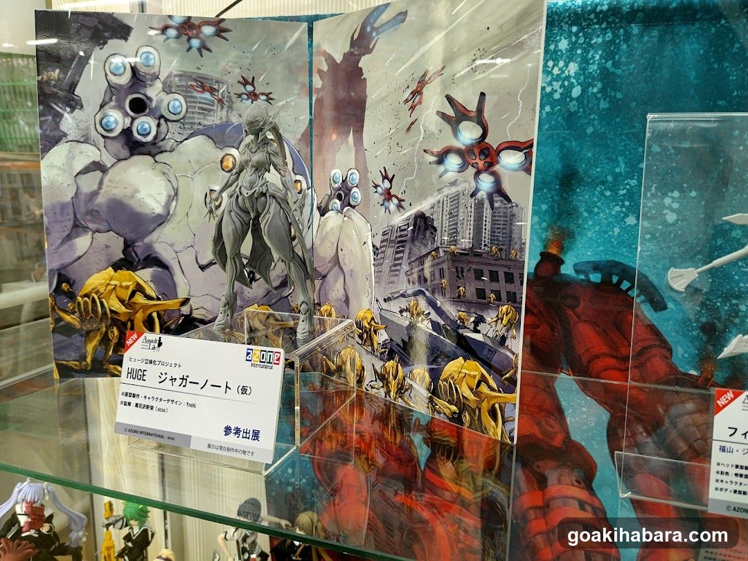 EVA Merchandise Display