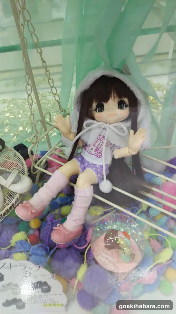 Doll Display with Accessories