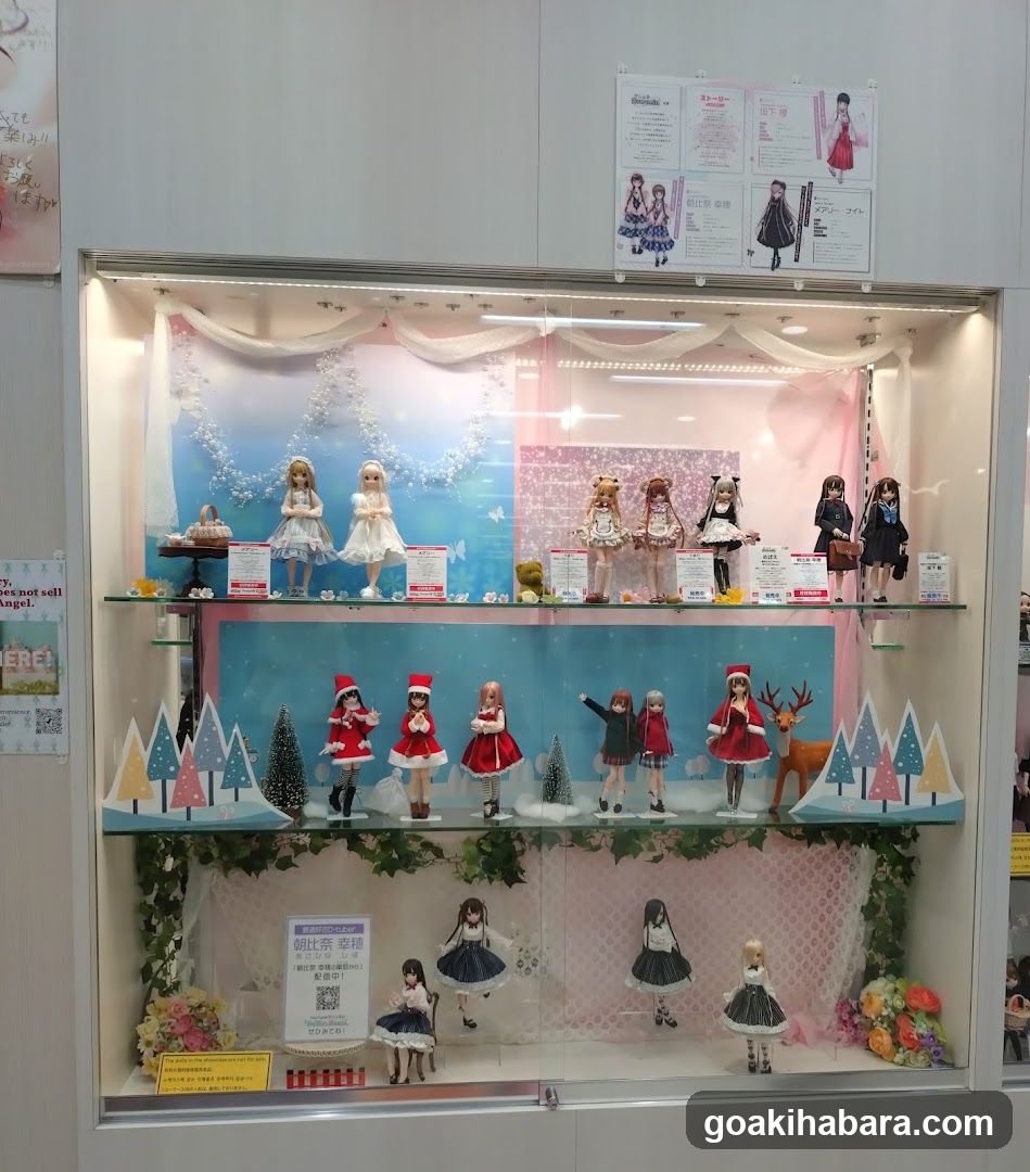 Doll Display Case