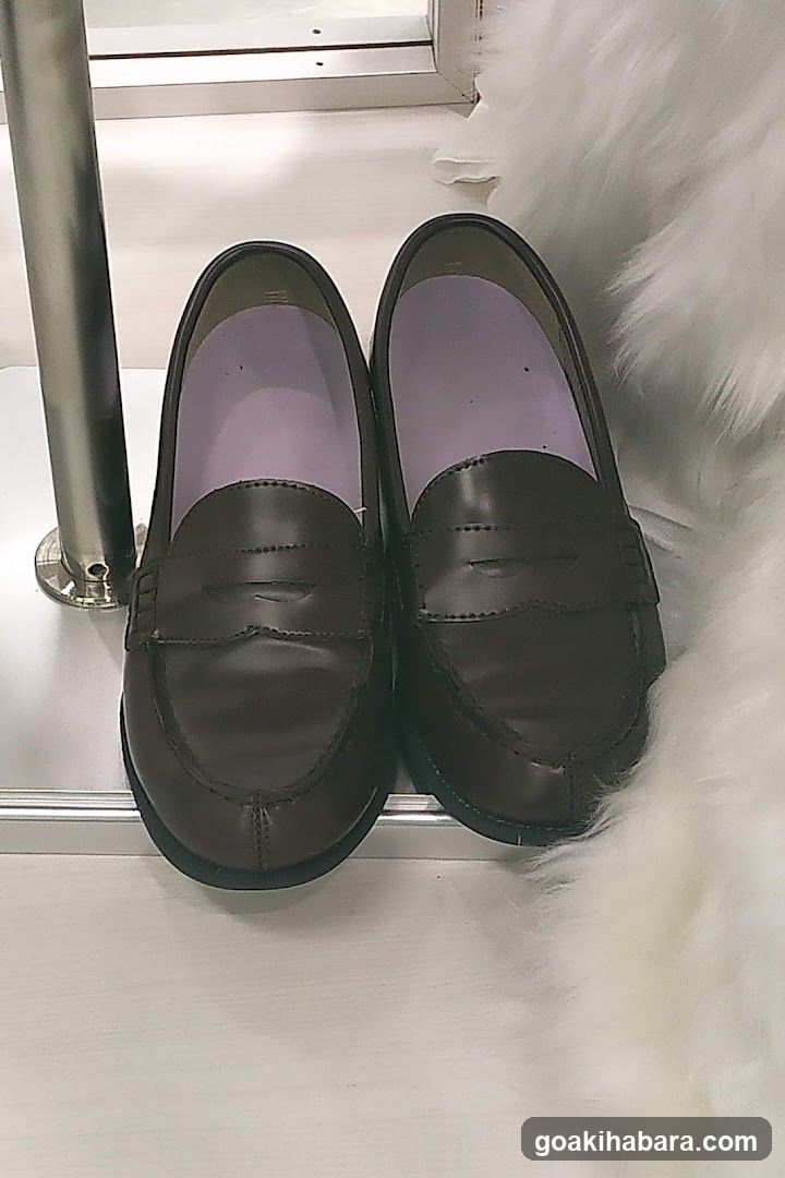 Brown Leather Loafers Display