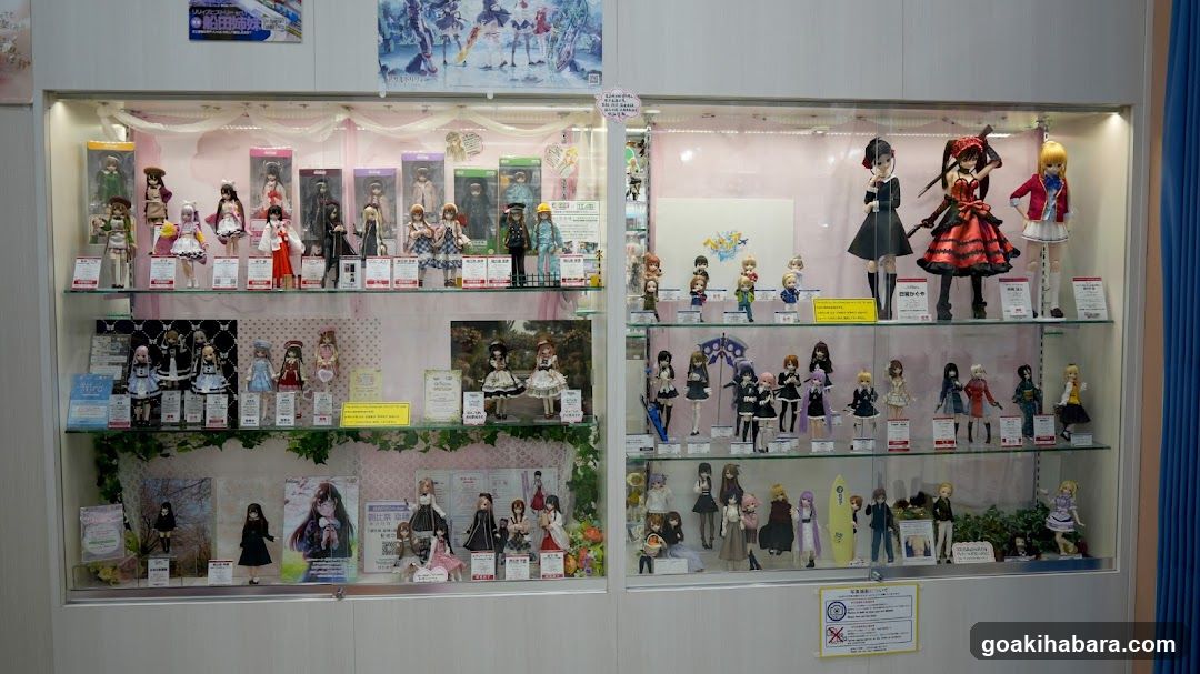 Doll Collection Display Case