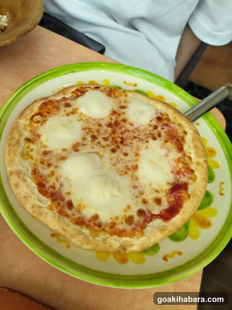 Pizza on a decorative plate