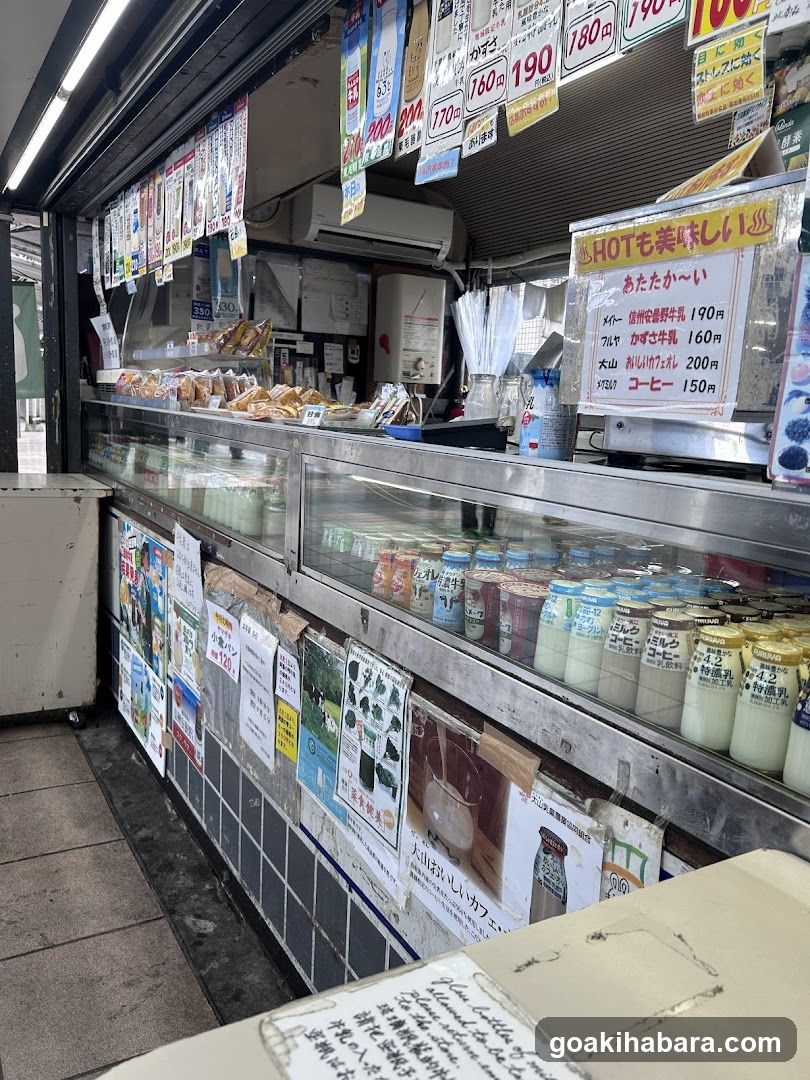 Dairy Shop Interior Display