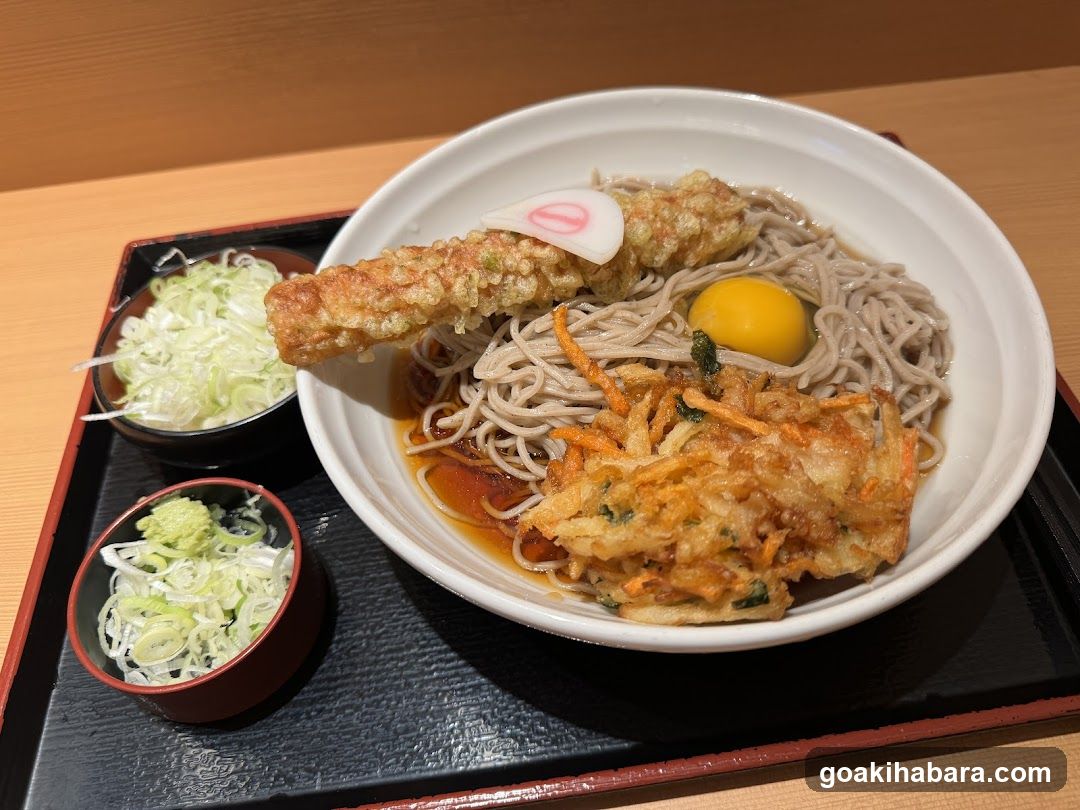 Soba Noodle Bowl with Tempura and Egg