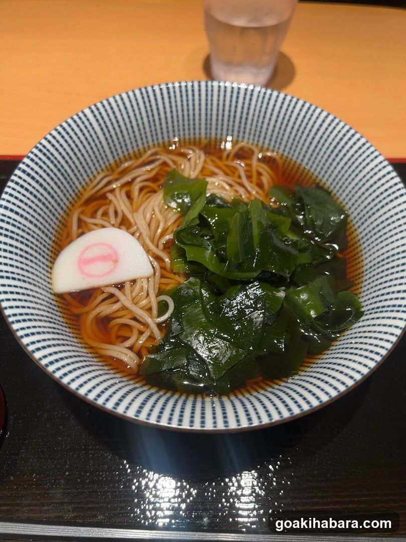 Bowl of Soba Noodles with Tofu and Seaweed