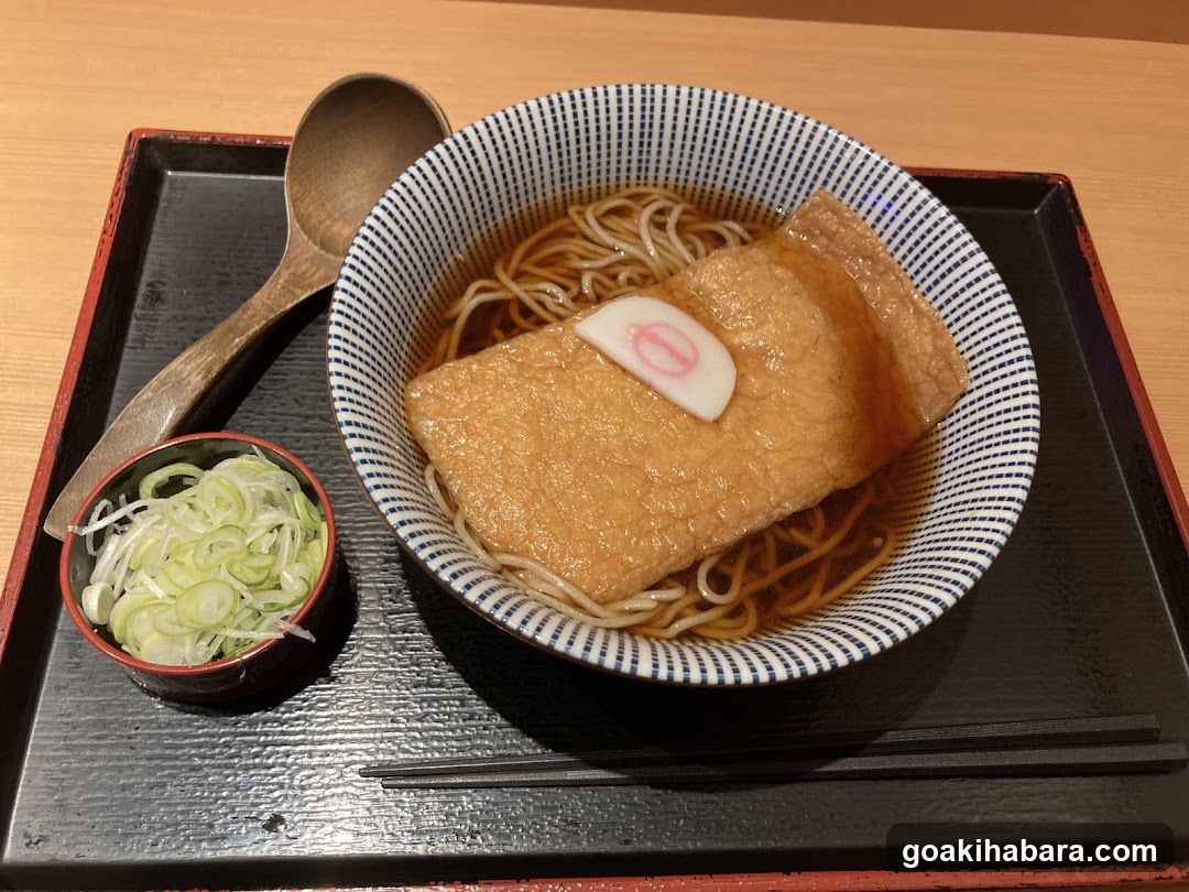 Japanese Noodle Bowl with Tofu and Scallions
