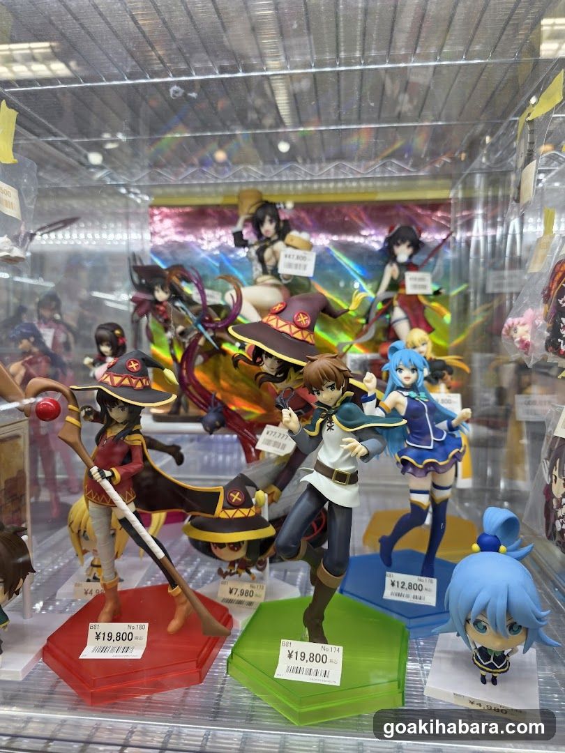 Anime Figure Display Case