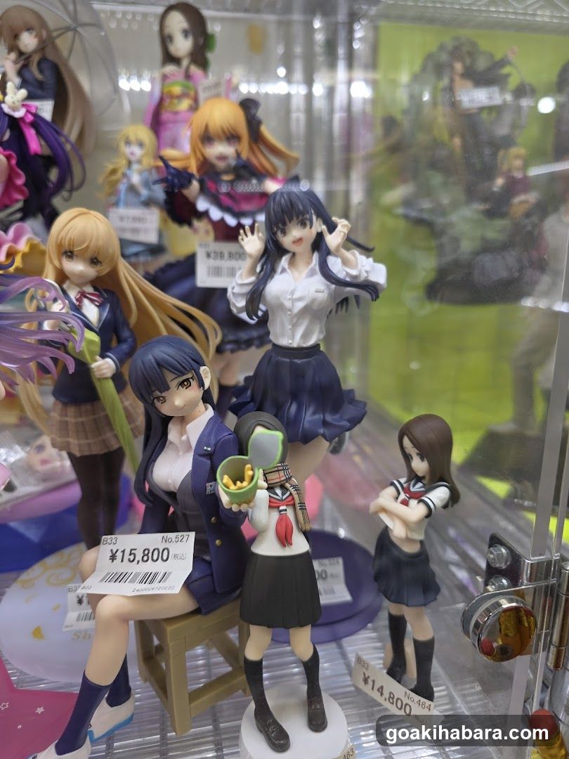 Anime Figure Display Case