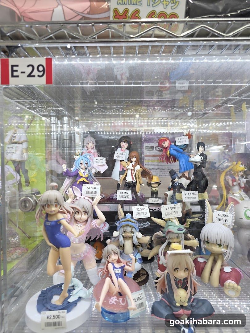 Anime Figure Display Case