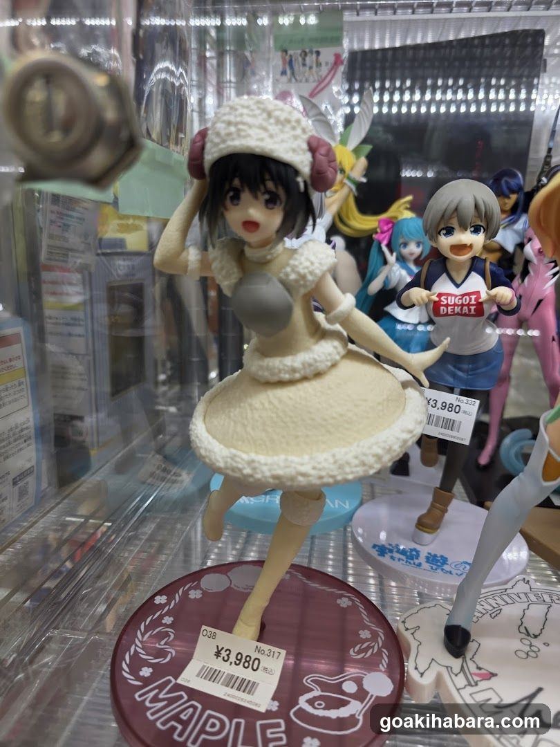 Anime Figure Display