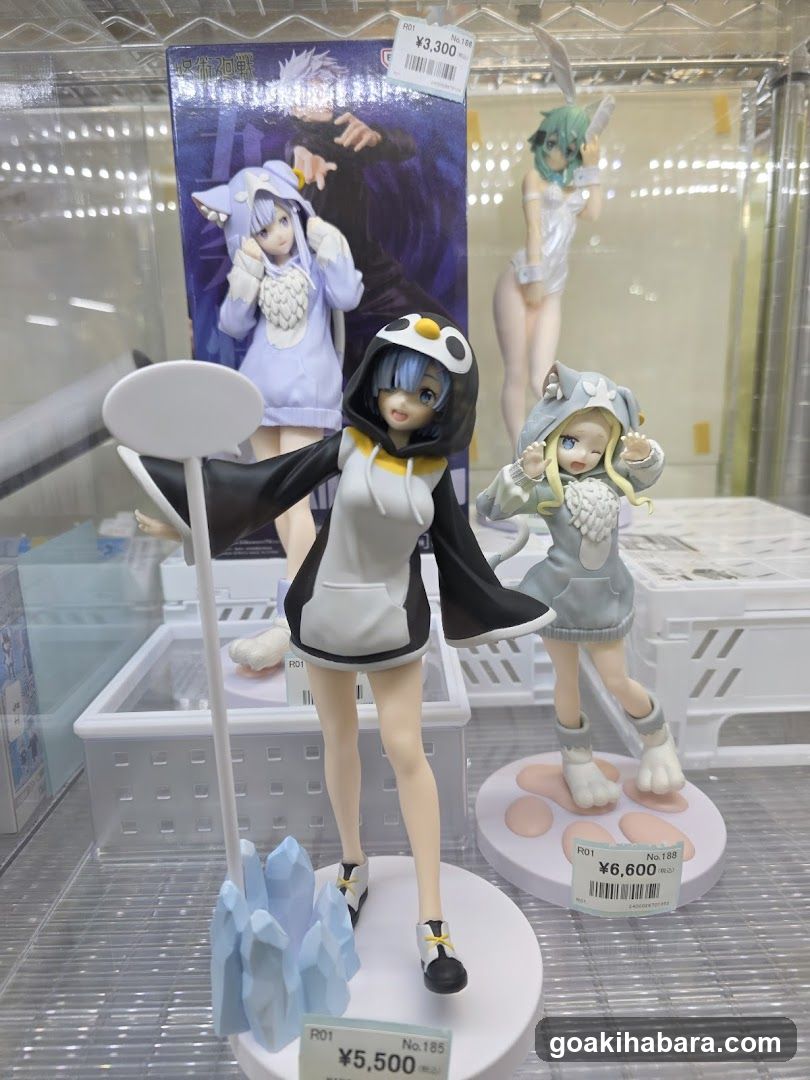 Anime Figure Display