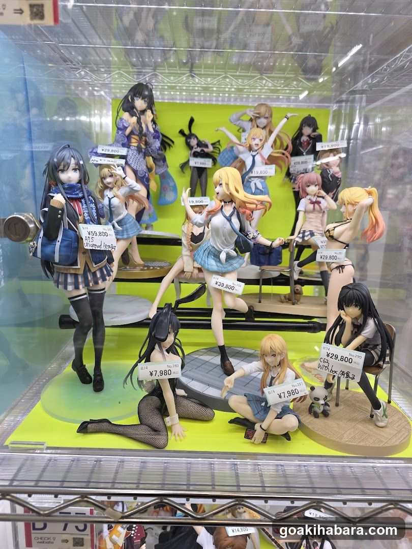Anime Figure Display Case