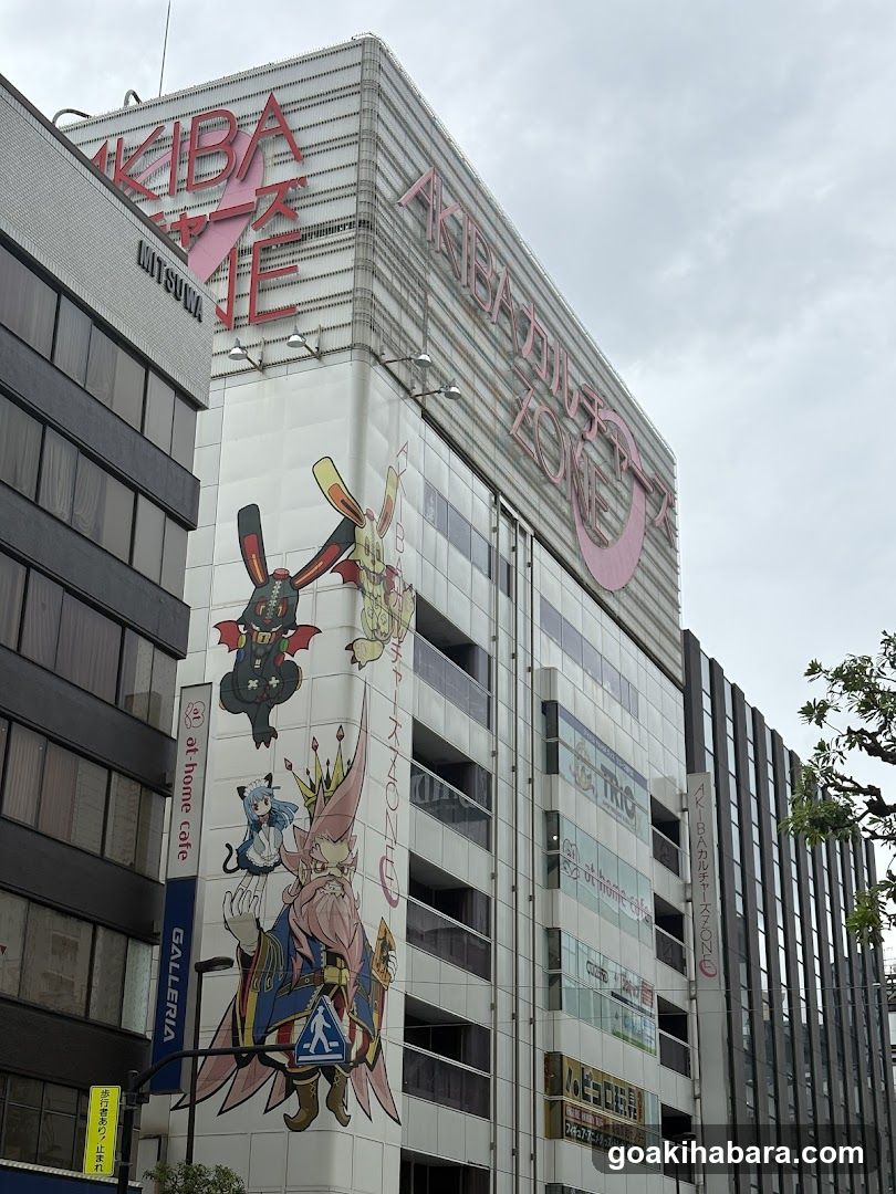 Akihabara Building Exterior