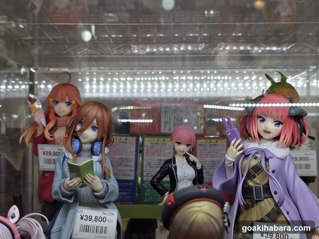Anime Figure Display