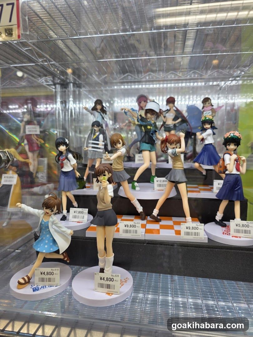 Anime Figure Display