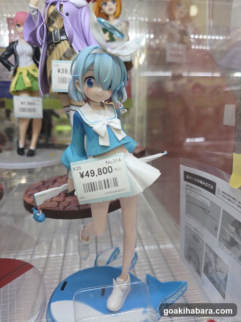 Anime Figure Display
