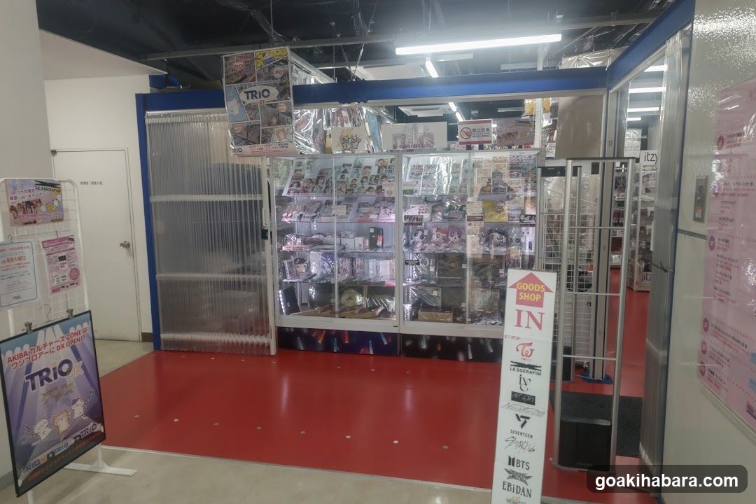 Trio Shop Interior View