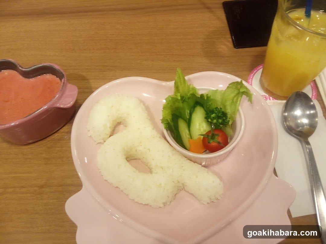 Heart-Shaped Lunch Plate with Rice and Salad