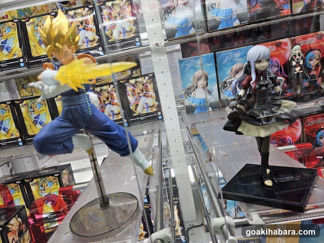 Anime Figure Display Shelf