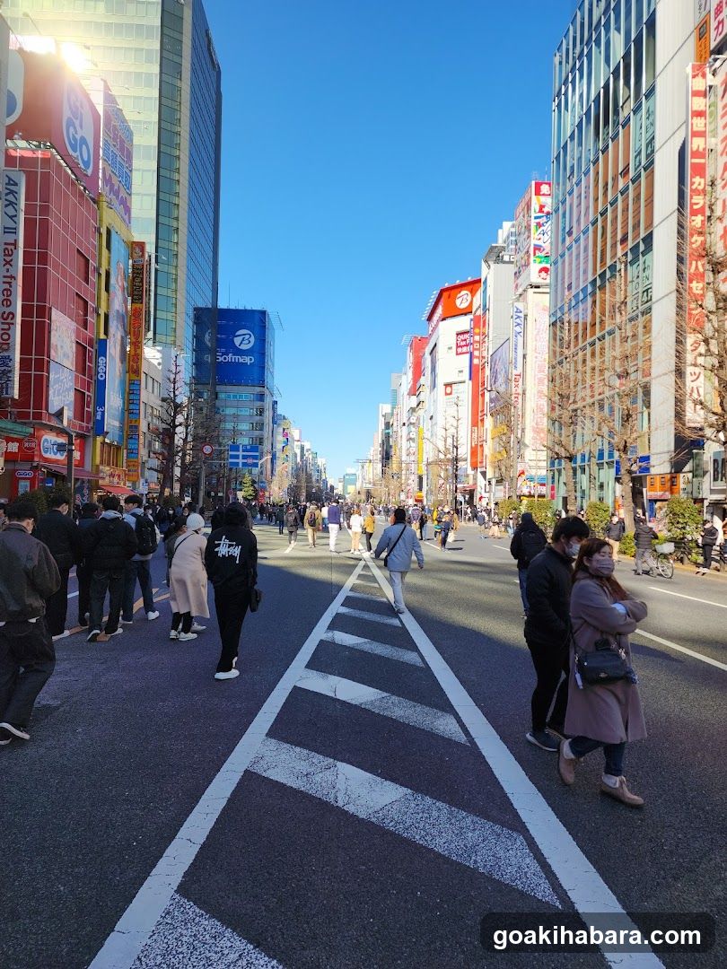 Shibuya Crossing Street View
