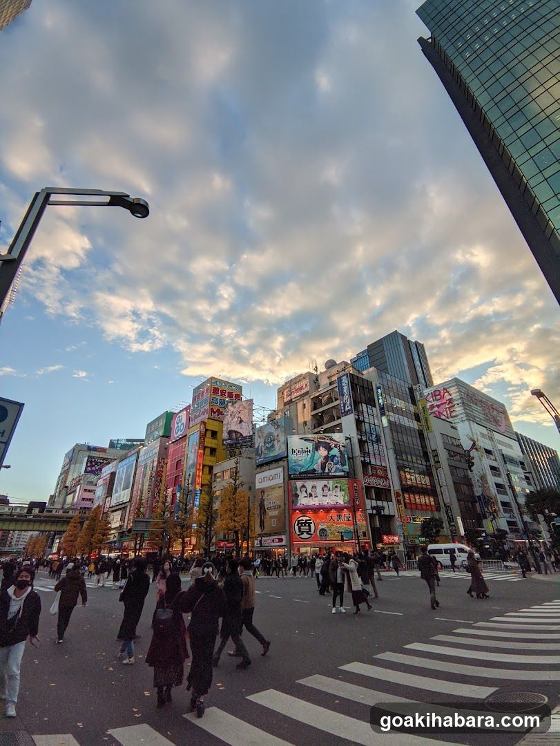 Shibuya Crossing at dusk