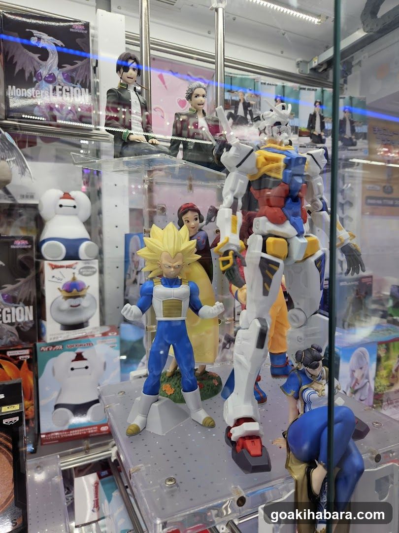 Anime and Action Figure Display
