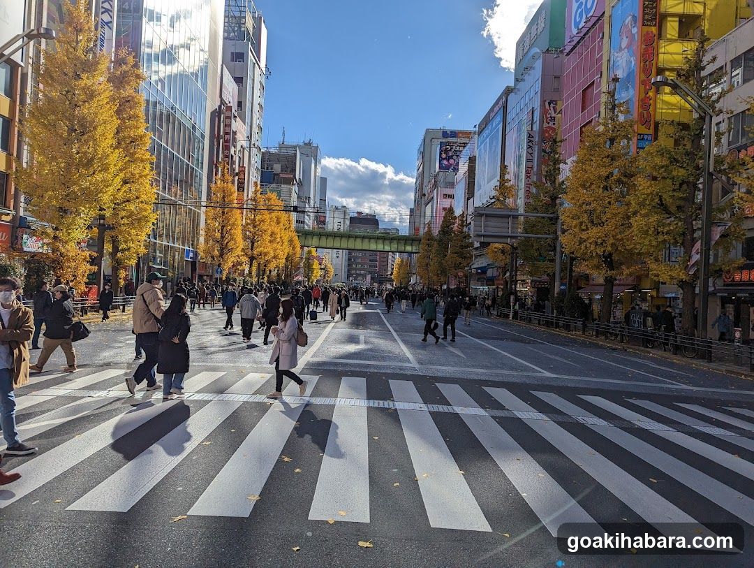 Autumn Street Scene in Japan