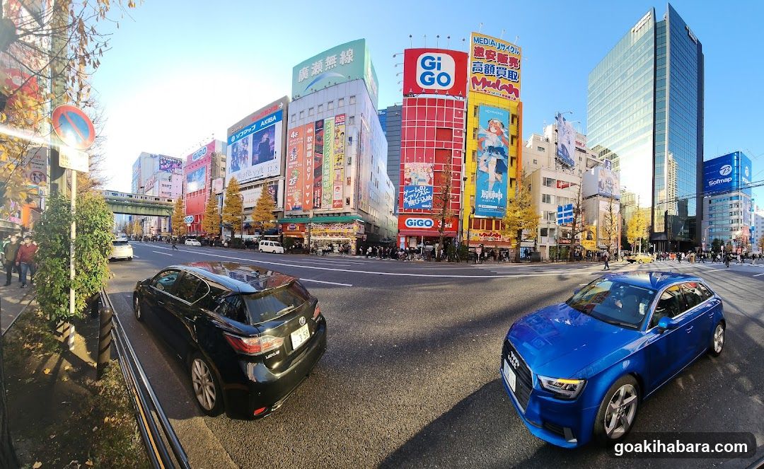 Shibuya Crossing Street Scene