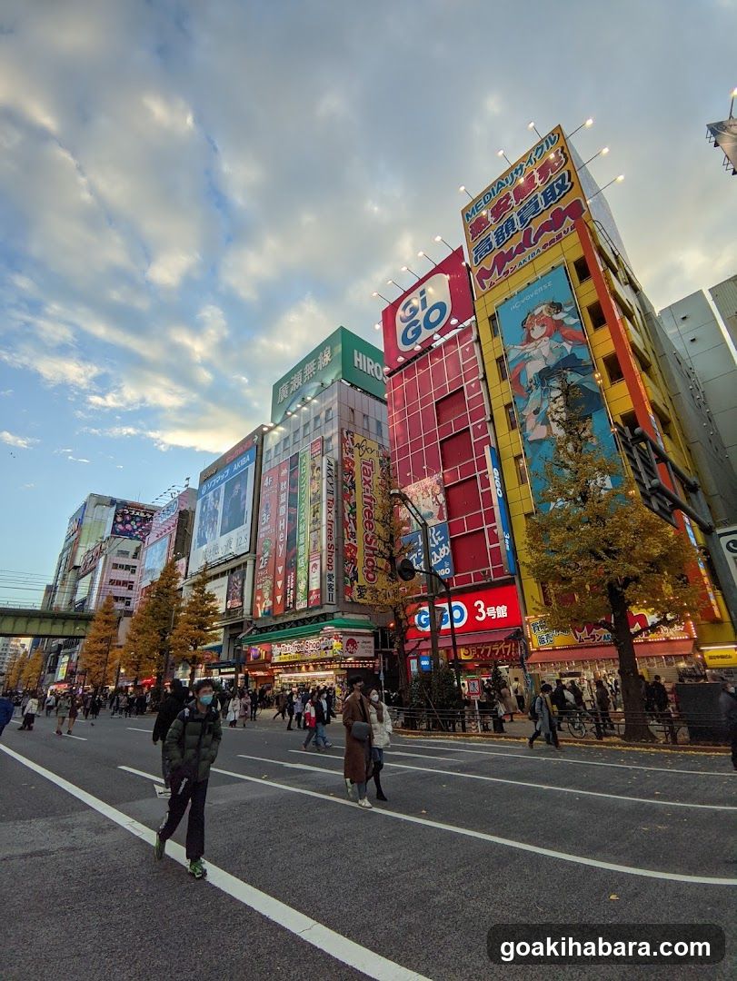 Shibuya Crossing Street Scene