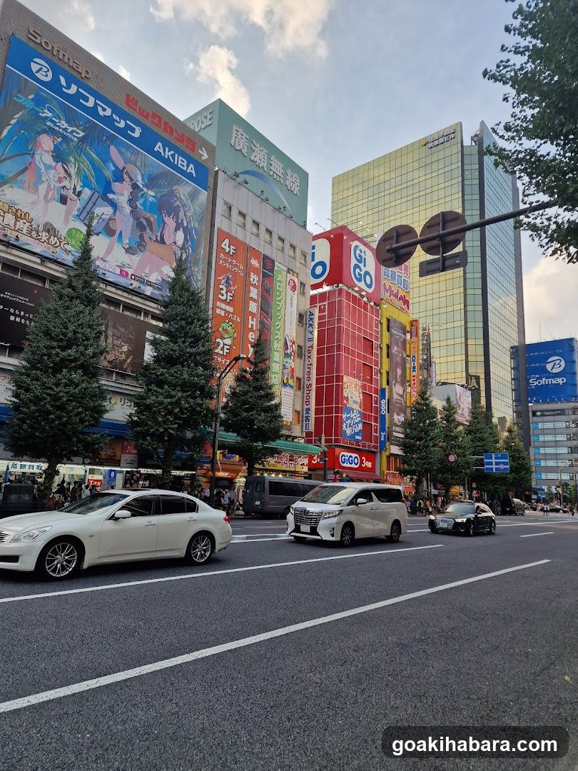 Akiba Street Scene