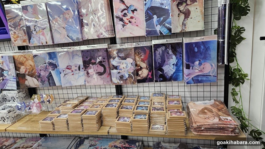 Anime Merchandise Display
