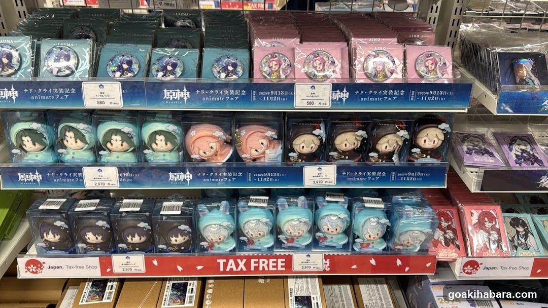 Anime Merchandise Display Shelf