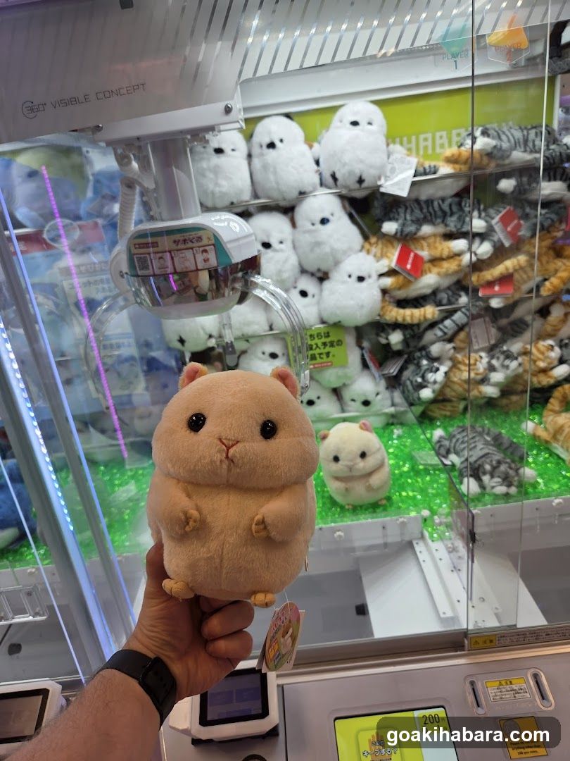 Claw Machine with Plushies