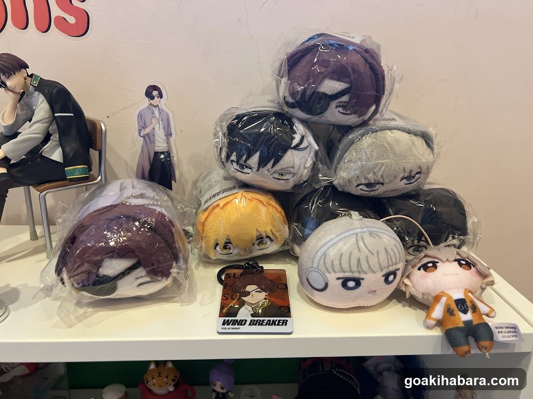 Anime Merchandise Display