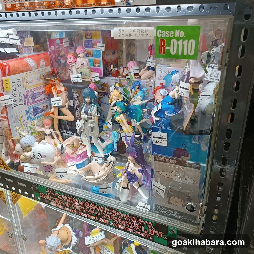 Anime Figure Display Case