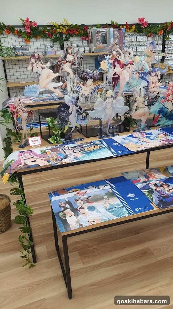 Anime Merchandise Display