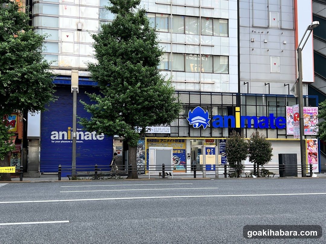 Animate Storefront